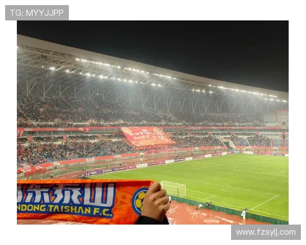 鲁能球迷文化背后的地域情结探秘