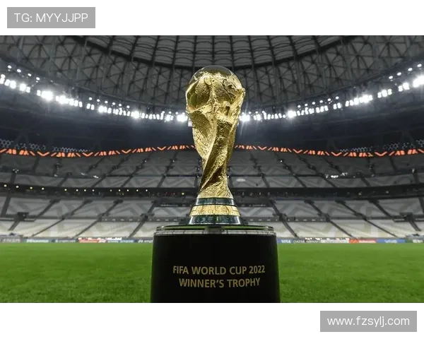 奥地利在俄罗斯世界杯舞台上的机遇与挑战全景解析深度回顾与未来展望 奥地利在俄罗斯世界杯舞台上的机遇与挑战全景解析深度回顾与未来展望